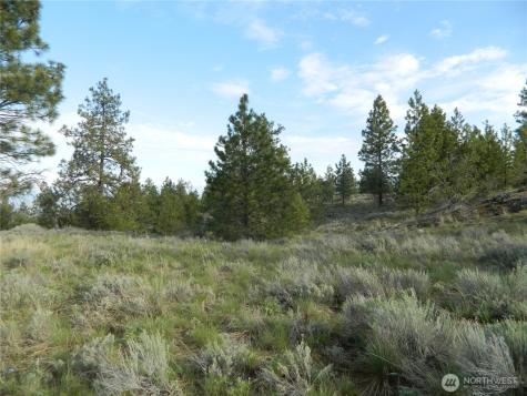 0 Tbd Rehmke Road Tonasket WA 98855