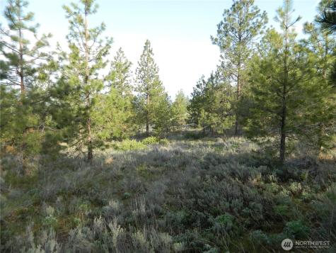 0 Tbd Rehmke Road Tonasket WA 98855