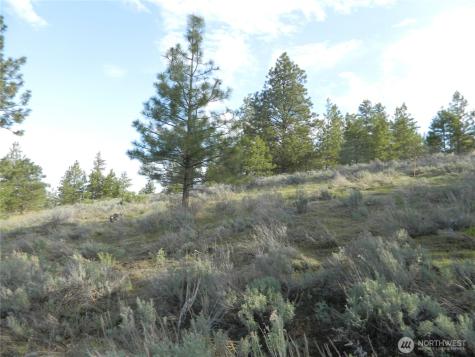 0 Tbd Rehmke Road Tonasket WA 98855