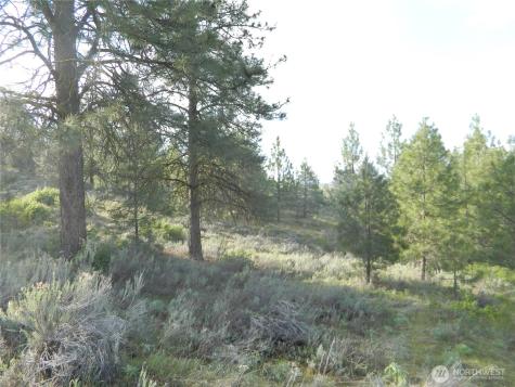 0 Tbd Rehmke Road Tonasket WA 98855