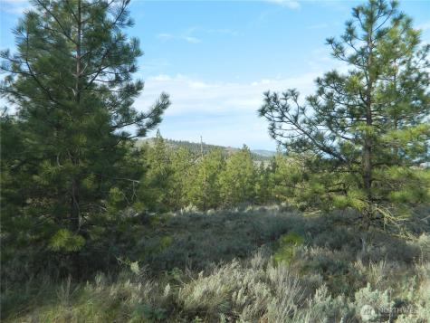 0 Tbd Rehmke Road Tonasket WA 98855