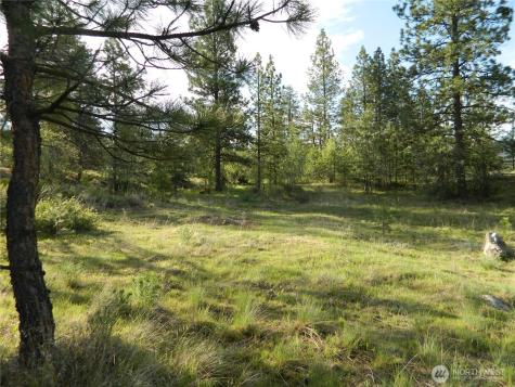 0 Tbd Rehmke Road Tonasket WA 98855
