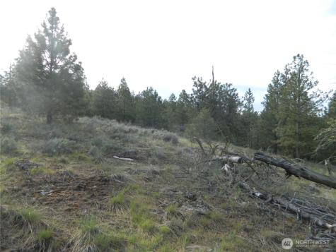 0 Tbd Rehmke Road Tonasket WA 98855