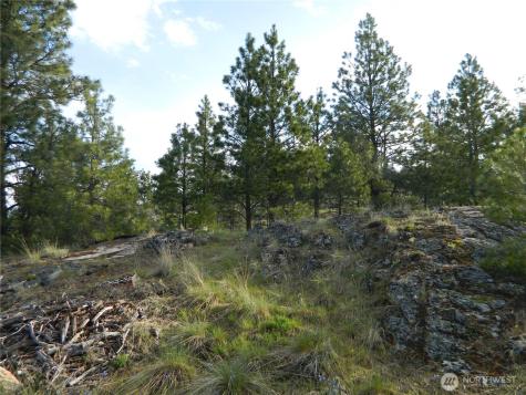 0 Tbd Rehmke Road Tonasket WA 98855