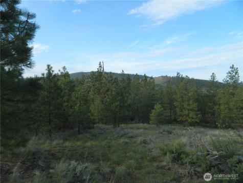 0 Tbd Rehmke Road Tonasket WA 98855