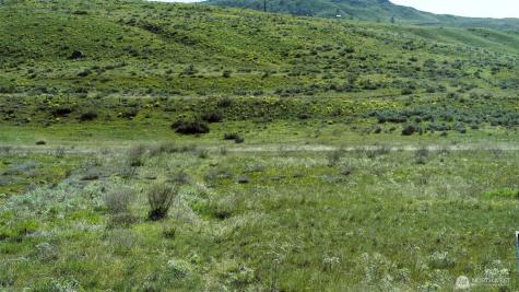 4 Brook Trout Lane Methow WA 98834