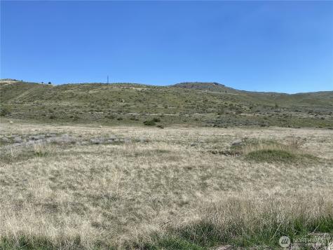 4 Brook Trout Lane Methow WA 98834