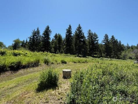 175 Ellemeham Ridge Road Oroville WA 98844