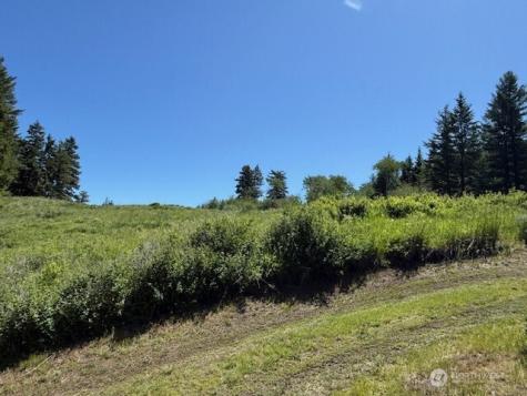 175 Ellemeham Ridge Road Oroville WA 98844