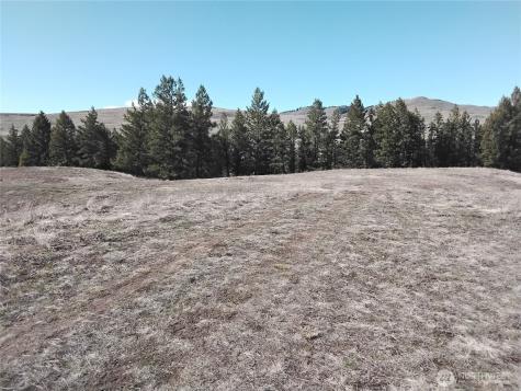 0 N Mountain View Drive Oroville WA 98855