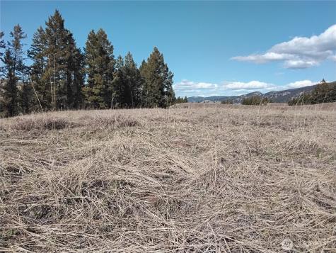 0 N Mountain View Drive Oroville WA 98855