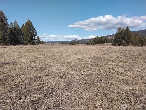 0 N Mountain View Drive Oroville WA 98855