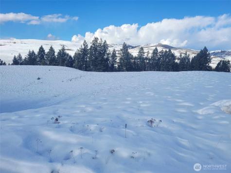 0 N Mountain View Drive Oroville WA 98855