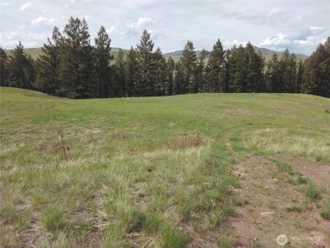 0 N Mountain View Drive Oroville WA 98855