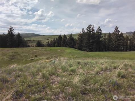 0 N Mountain View Drive Oroville WA 98855