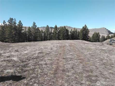 0 N Mountain View Drive Oroville WA 98855