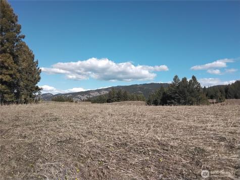 0 N Mountain View Drive Oroville WA 98855