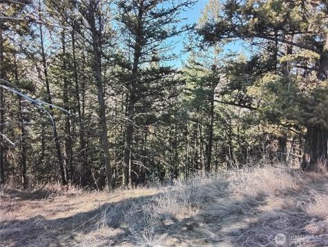 0 N Mountain View Drive Oroville WA 98855