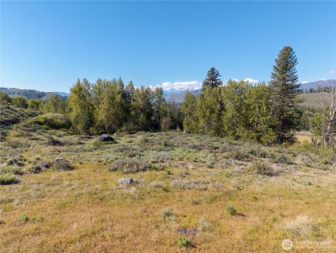 265 East Chewuch Road Winthrop WA 98862
