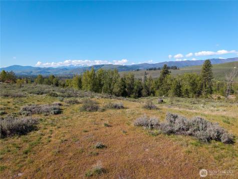 265 East Chewuch Road Winthrop WA 98862