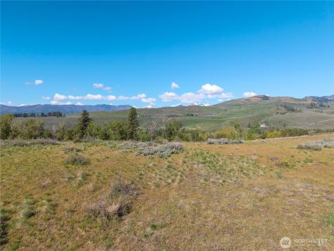 265 East Chewuch Road Winthrop WA 98862