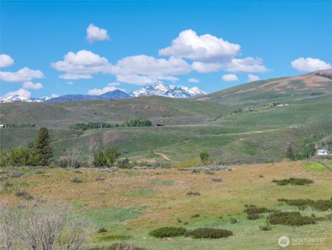 265 East Chewuch Road Winthrop WA 98862