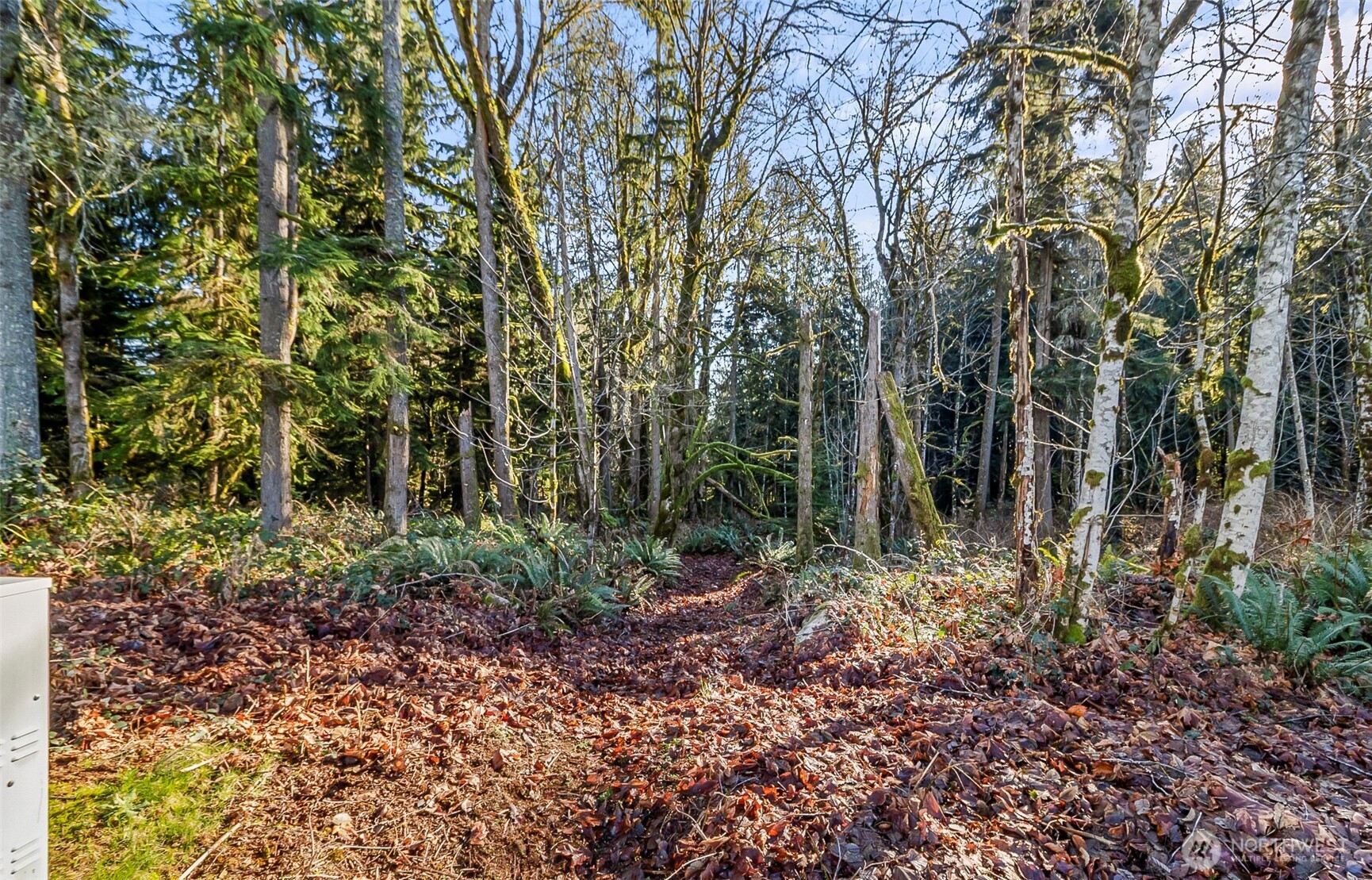 0 213th Avenue SE Snohomish WA 98290