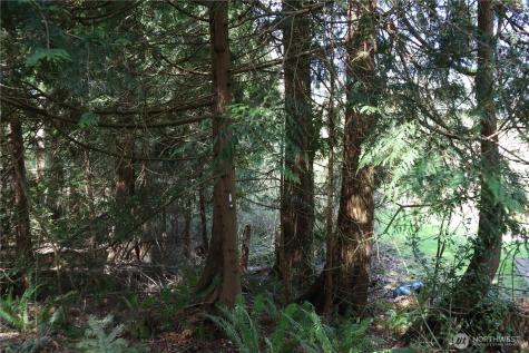 260 SE 18th Place Sammamish WA 98075