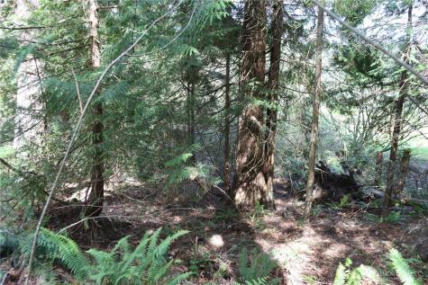 260 SE 18th Place Sammamish WA 98075