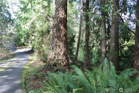 260 SE 18th Place Sammamish WA 98075