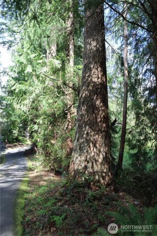 260 SE 18th Place Sammamish WA 98075