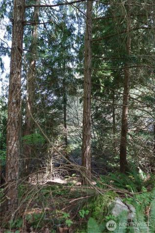 260 SE 18th Place Sammamish WA 98075