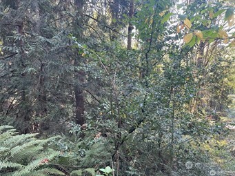 0 Melcher Street Port Orchard WA 98366