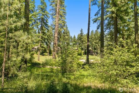 24 Kings Court Cle Elum WA 98922
