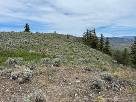 4 Tbd Ellemeham Mountain Road Oroville WA 98844
