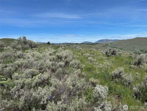 4 Tbd Ellemeham Mountain Road Oroville WA 98844