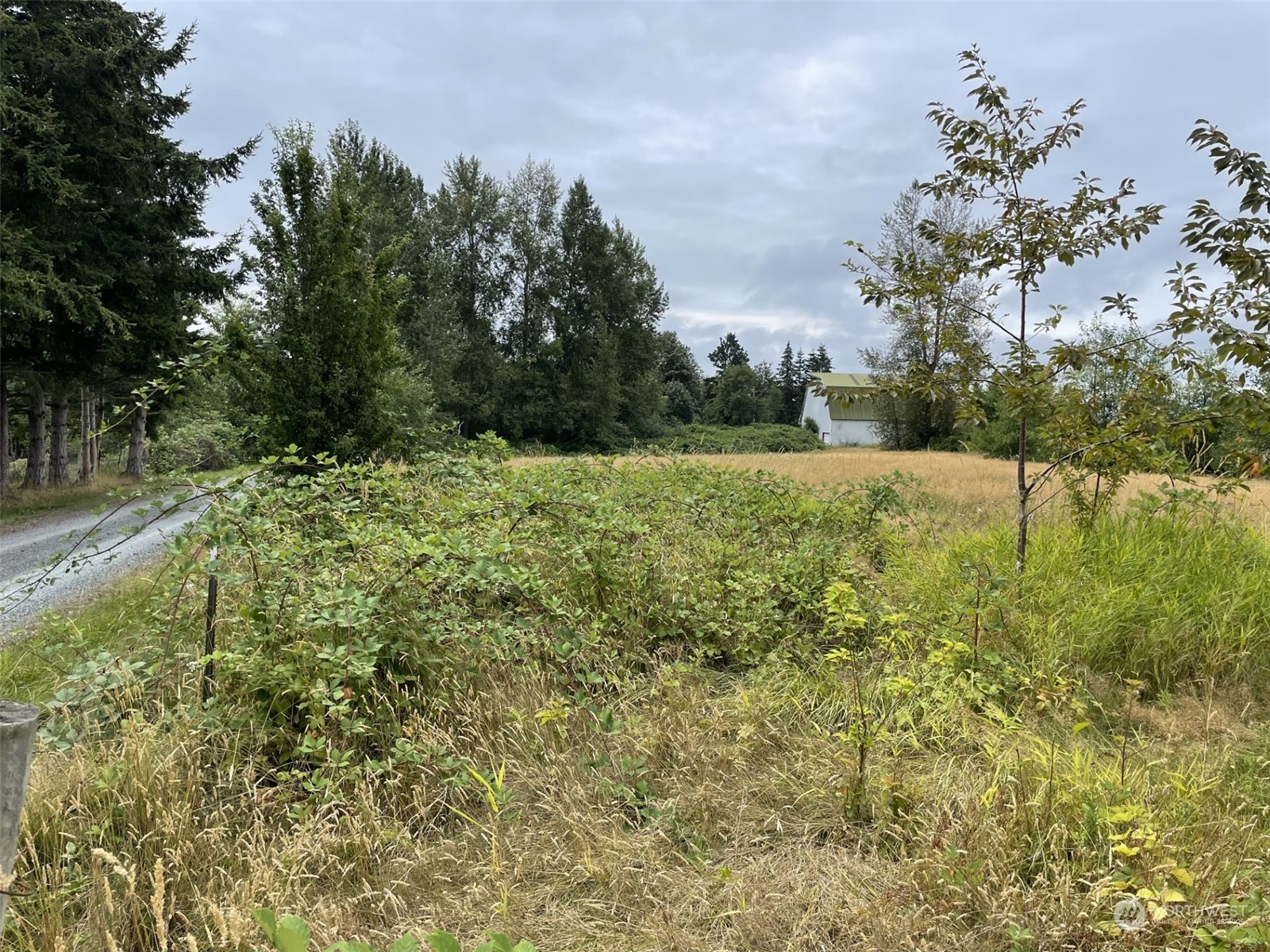 4935 E Third Drive Bellingham WA 98226