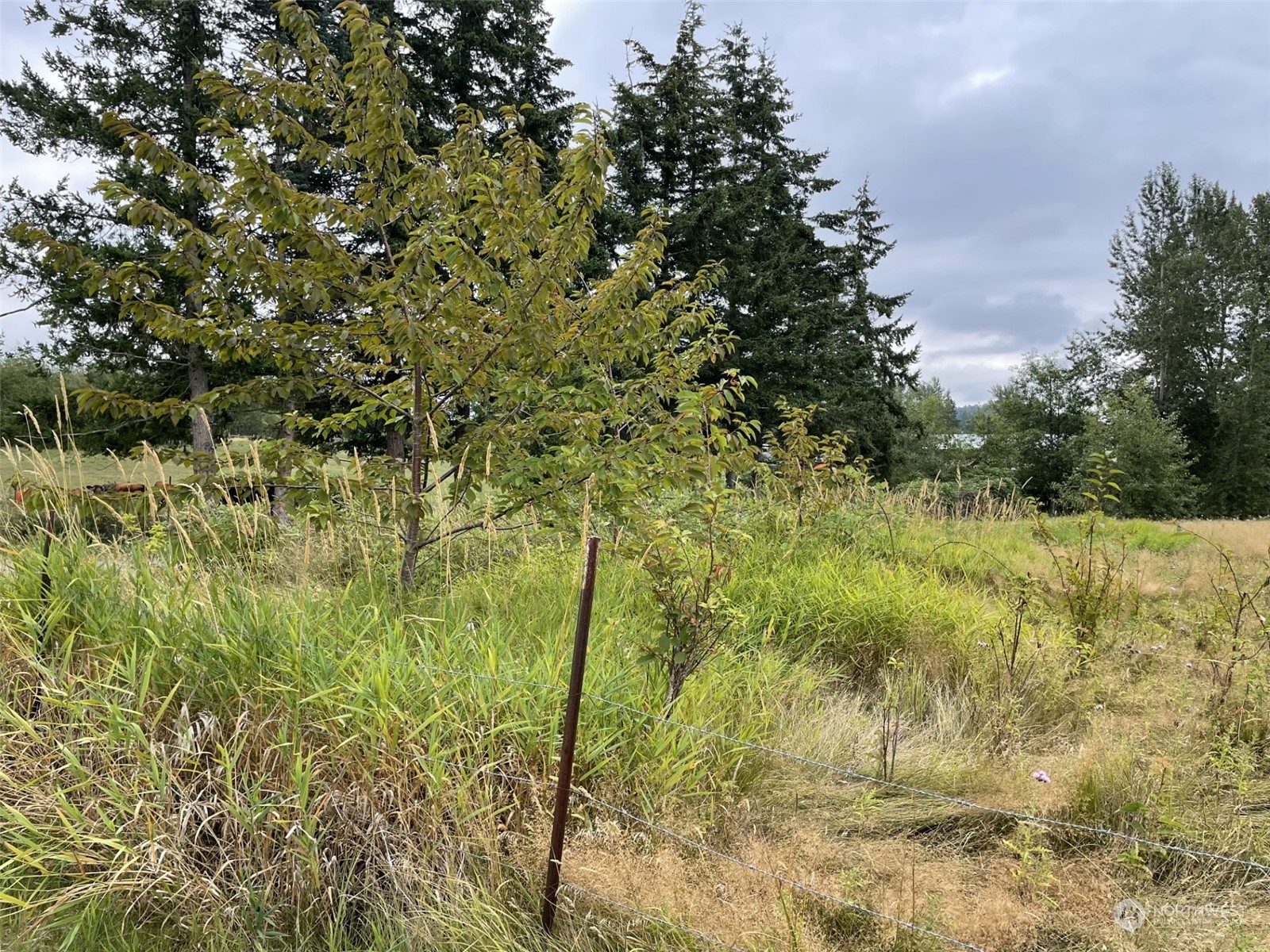 4935 E Third Drive Bellingham WA 98226