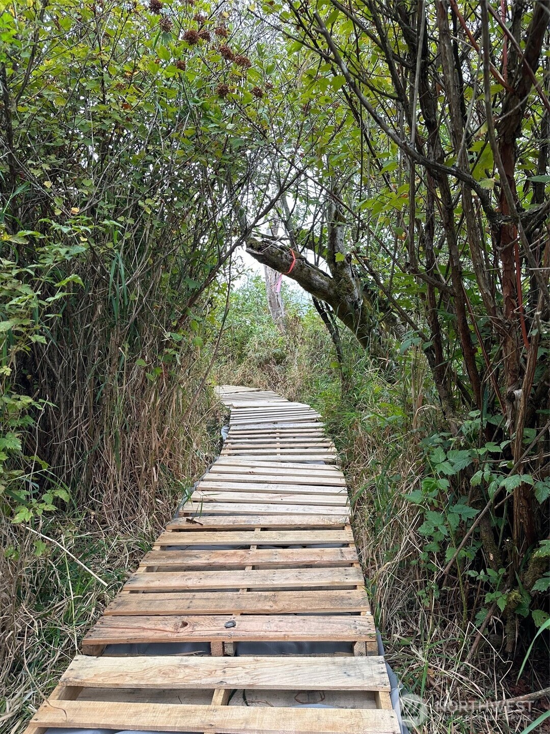 0 43rd Avenue SE Everett WA 98201