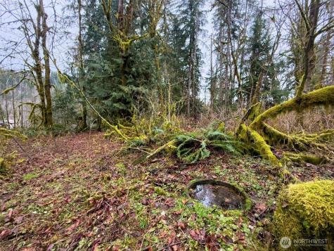 134 Tilton Drive Morton WA 98356