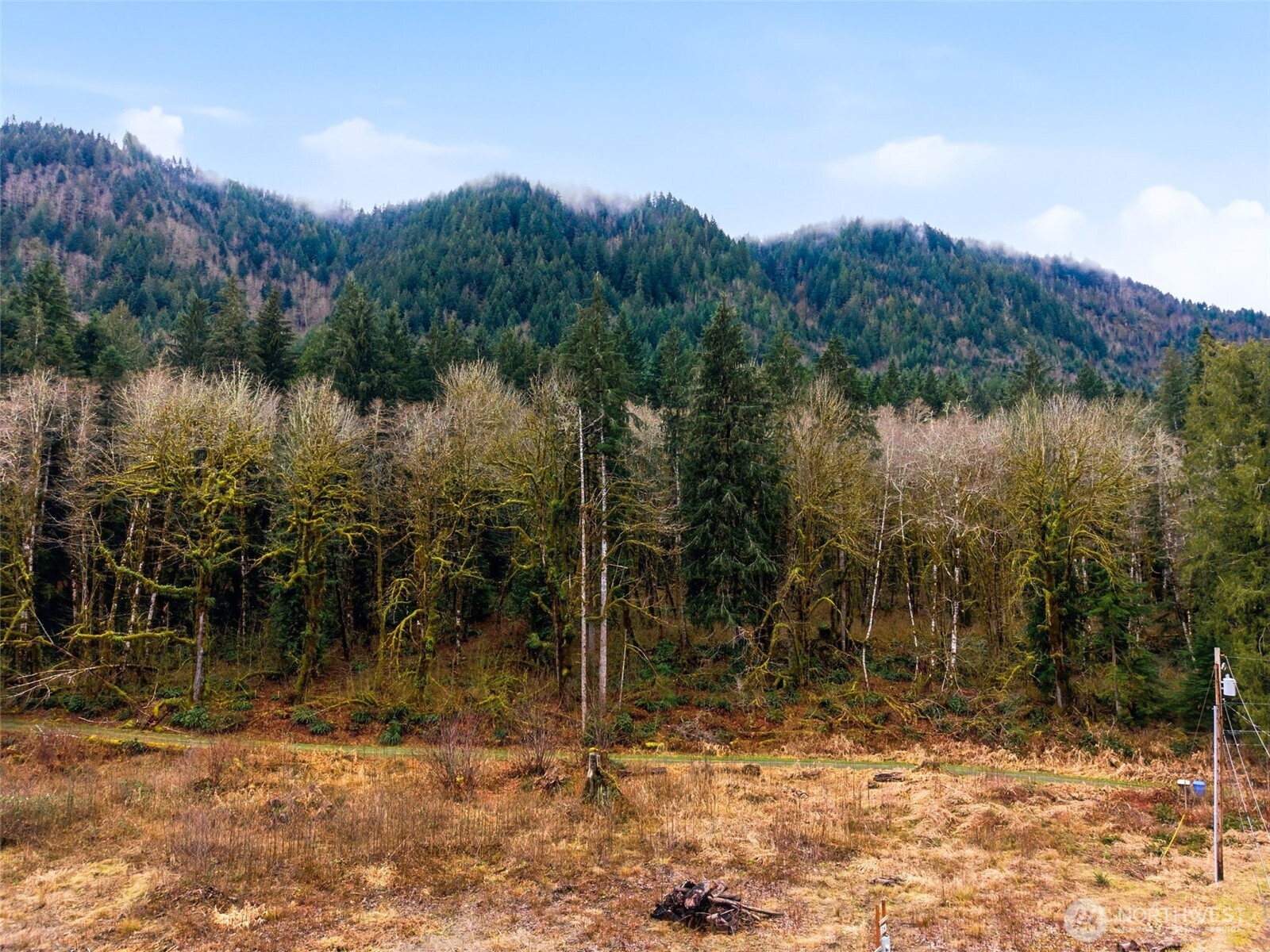 134 Tilton Drive Morton WA 98356