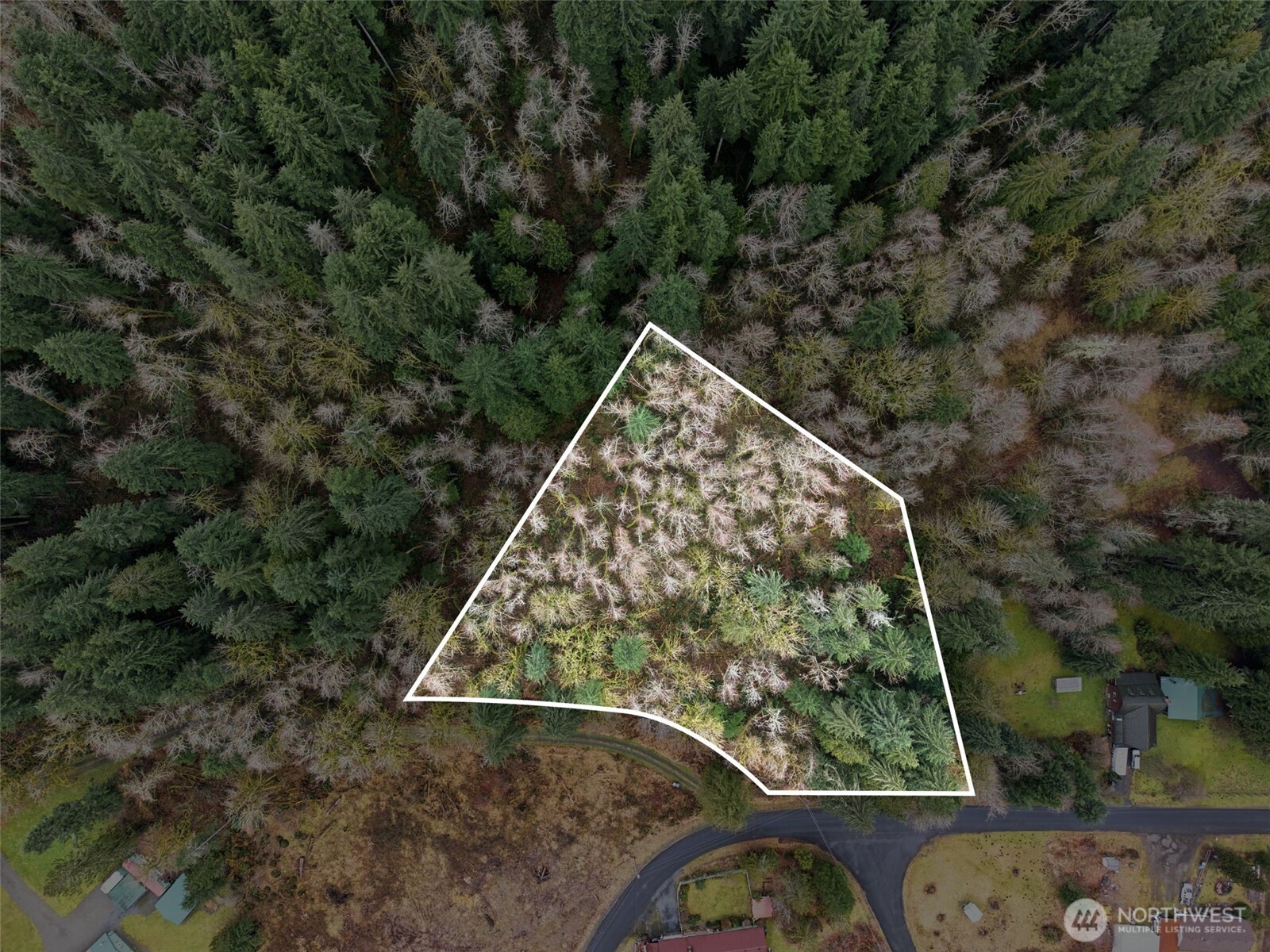 134 Tilton Drive Morton WA 98356