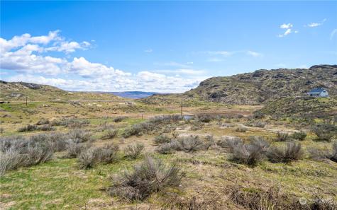 0 Lipizzan Brewster WA 98812