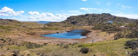 0 Lipizzan Brewster WA 98812