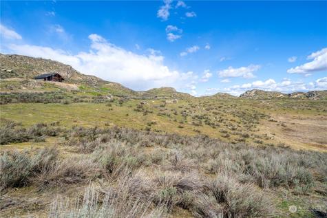 0 Lipizzan Brewster WA 98812