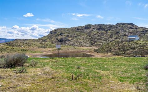 0 Lipizzan Brewster WA 98812