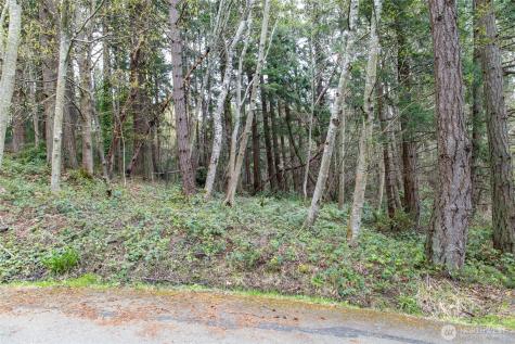 9190 Fox Cove Lane NE Bainbridge Island WA 98110
