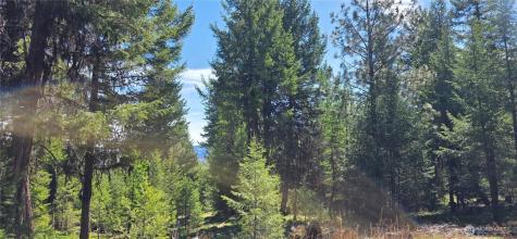 111 Tbd Wannamaker Road Oroville WA 98844
