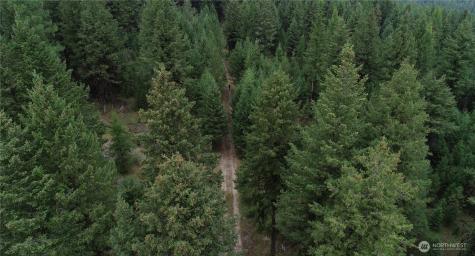 111 Tbd Wannamaker Road Oroville WA 98844
