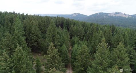 111 Tbd Wannamaker Road Oroville WA 98844